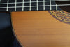 1986 Greg Smallman Guitar